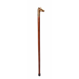 Walking Stick