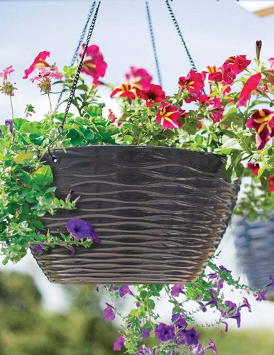 Hanging Baskets