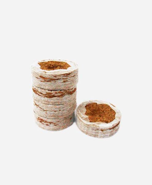 Coir Coins