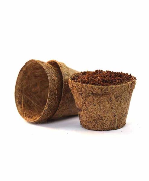 Coir Pots