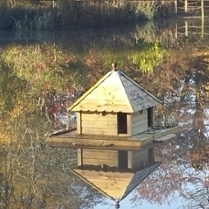 Duck, Waterfowl Houses and Runs