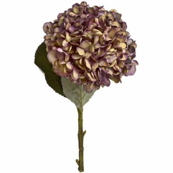 Autumn Burgundy Hydrangea Artificial Flower (Single Stem) - Fabric/Plastic - L18 x W18 x H42 cm - Red
