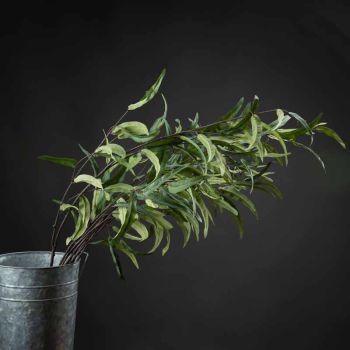 Eucalyptus Nicholii Spray Artificial Plant - Plastic - L46 x W46 x H128 cm - Green