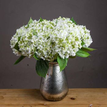 Lace Cap Hydrangea Artificial Plant - Fabric/Plastic - L25 x W25 x H48 cm - White