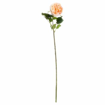 Butter Portland Rose Artificial Flower - L7 x W12 x H72 cm