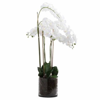 Large Tall Orchid in Glass Pot Artificial Flower - Glass/Plastic - L57 x W57 x H126 cm - White