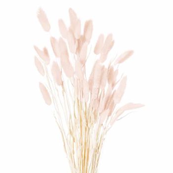 Dried Bunny Tail Bunch of 40 Artificial Plant - H60 cm - Pale Pink