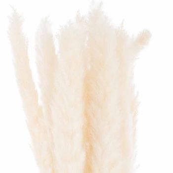 Mini Pampas Grass Bunch of 15 Artificial Plant - H60 cm - White