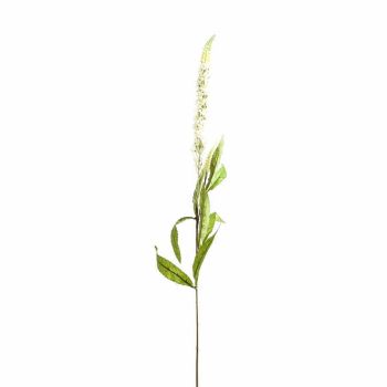 Veronica Stem Artificial Plant - Plastic - L17 x W17 x H76 cm - White