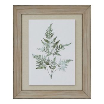 Watercolour Bracken Fern in Frame - Washed Wood - L5 x W50 x H60 cm - Brown