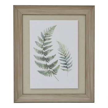 Watercolour Fern Duo in Frame - Washed Wood - L5 x W50 x H60 cm - Brown