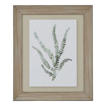 Watercolour Delicate Fern in Frame - Washed Wood - L5 x W50 x H60 cm - Brown