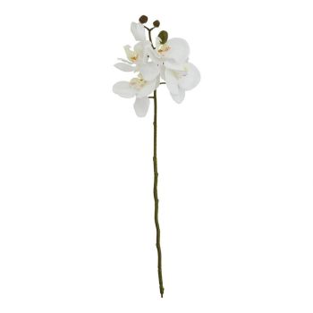 White Butterfly Orchid - Artificial Flower (Single Stem) - Plastic - L9 x W9 x H52 cm - White