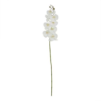 Tall White Butterfly Orchid - Artificial Flower (Single Stem) - Plastic - L11 x W11 x H103 cm - White