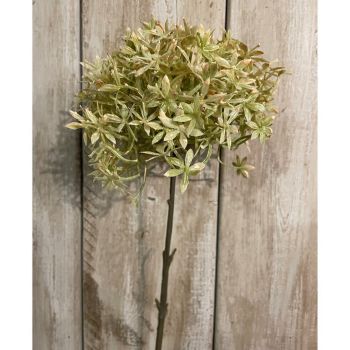 Green and Beige Allium (Single Stem Flower) - Plastic - Height 63 cm - Green