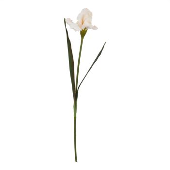 The Natural Garden Collection Pale Apricot Fringed Iris (Single Stem Flower) - Plastic - L13 x W13 x H83 cm