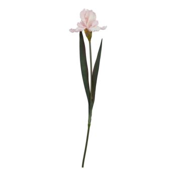 The Natural Garden Collection Fringed Iris - Artificial Flower (Single Stem) - Plastic - L13 x W13 x H83 cm - Pale Pink