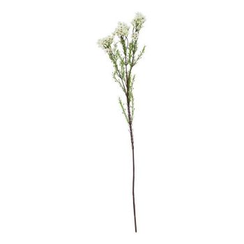 The Natural Garden Collection Waxflower (Single Stem Flower) - Plastic - Height 80 cm - White