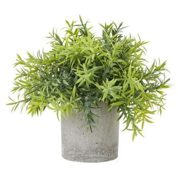 Small Bamboo Plant in Pot - Plastic - Height 20 cm - Green/Grey