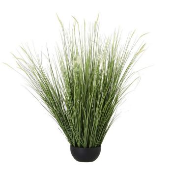 Large Onion Grass Plant in Pot - Plastic - L24 x W24 x H120 cm - Green