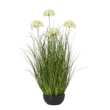 Large Allium Plant in Pot - Plastic - L22 x W22 x H120 cm - White