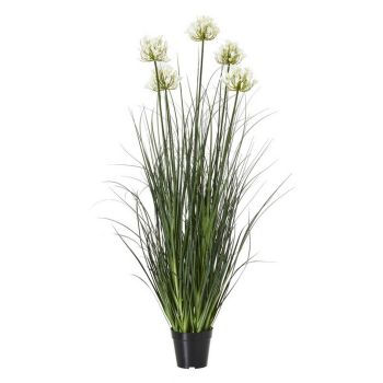 Large Agapanthus Plant in Pot - Plastic - Height 120 cm - White
