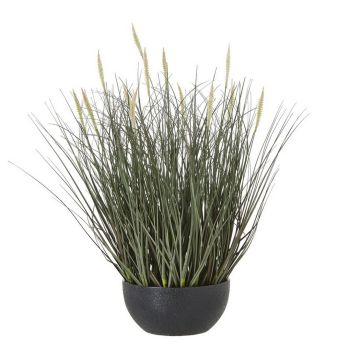 Fountain Grass Plant in Pot - Plastic - Height 50 cm - Green