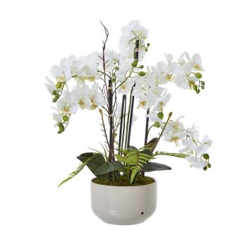 Large Orchid in Pot - Plastic/Ceramic - L60 x W65 x H76 cm - White