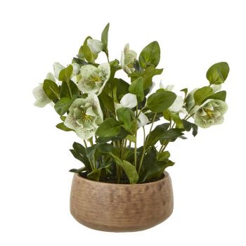 Hellebore Plant in Pot - Plastic - L33 x W38 x H41 cm - Green/Taupe