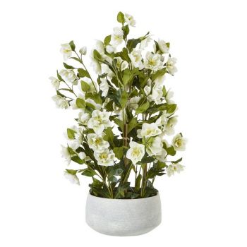 Large Hellebore in Pot - Plastic - L52 x W52 x H85 cm - White/Grey