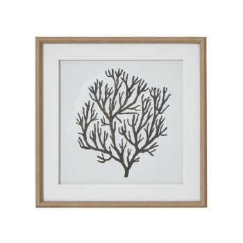 Atol Coral Art Mounted in Beaded Frame - Glass - L2 x W40 x H40 cm - Brown