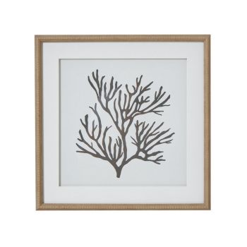 Reef Coral Art Mounted in Beaded Frame - Glass - L2 x W40 x H40 cm - Brown