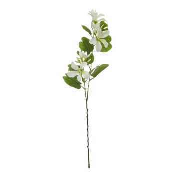 Bauhinia Orchid Spray (Single Stem Flower) - Plastic - Height 87 cm - Cream