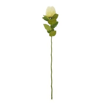 Banksia (Single Stem Flower) - Plastic - Height 59 cm - Cream