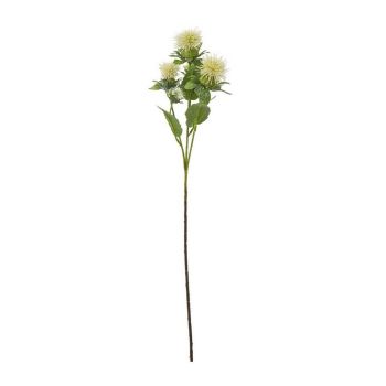 Safflower Spray (Single Stem Flower) - Plastic - Height 57 cm - Cream