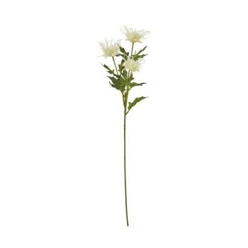 Sea Holly Spray (Single Stem Flower) - Plastic - Height 67 cm - Cream