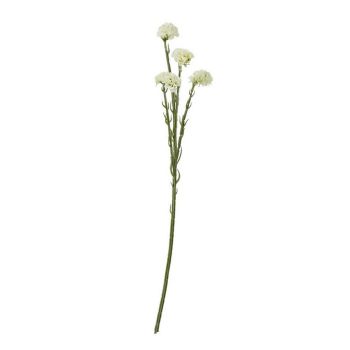 Statice Spray (Single Stem Flower) - Plastic - Height 64 cm - Cream