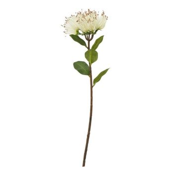 Protea Nitida (Single Stem Flower) - Plastic - Height 45 cm - Cream