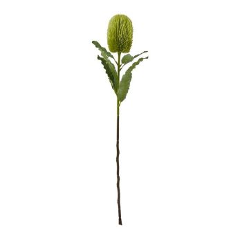 Large Banksia Serrata (Single Stem Flower) - Plastic - Height 65 cm - Green