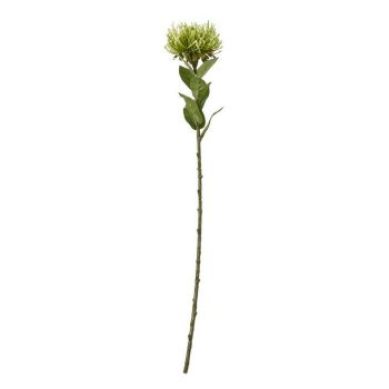Protea Lorea (Single Stem Flower) - Plastic - Height 73 cm - Green