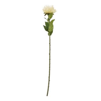 Protea Lorea (Single Stem Flower) - Plastic - Height 73 cm - Cream