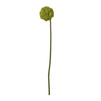 Allium (Single Stem Flower) - Plastic - Height 75 cm - Green