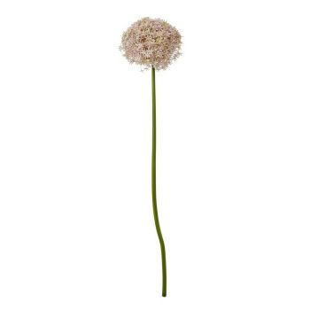Giant Allium (Single Stem Flower) - Plastic - L21 x W21 x H90 cm - Lilac