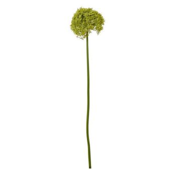 Giant Allium (Single Stem Flower) - Plastic - L21 x W21 x H90 cm - Green