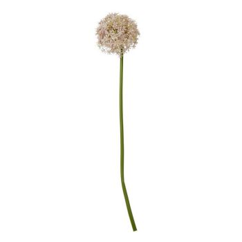 Medium Allium (Single Stem Flower) - Plastic - L16 x W16 x H80 cm - Lilac