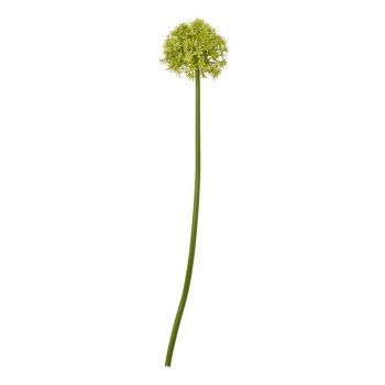 Medium Allium (Single Stem Flower) - Plastic - L16 x W16 x H80 cm - Green