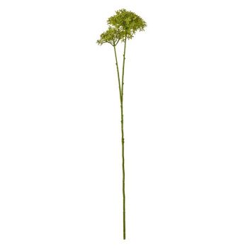 Crown Hydrangea (Single Stem Flower) - Plastic - L15 x W18 x H71 cm - Green