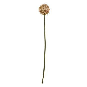 Allium (Single Stem Flower) - Plastic - L11 x W11 x H75 cm - Pink