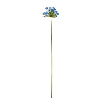 Agapanthus (Single Stem Flower) - Plastic - L15 x W15 x H75 cm - Blue