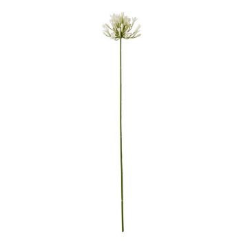 Agapanthus Spray (Single Stem Flower) - Plastic - L15 x W15 x H75 cm - Cream